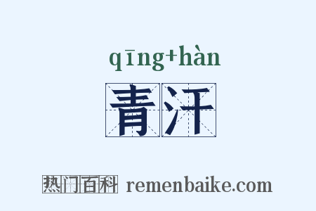 青汗是什么意思的图片